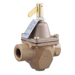 Boiler Feed Water Pressure Regulator