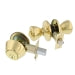 Guard Security  Tulip Combo-Pack, Single Cylinder, Polished Brass (Polished Brass)