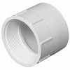 Charlotte Pipe 1-1/4 in. Hub x 1-1/4 in. Dia. FPT Pipe Adapter (1-1/4 x 1-1/4)