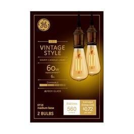 LED Vintage Light Bulb, ST19, Warm White, Amber Bulb, 560 Lumens, 6-Watt, 2-Pk.