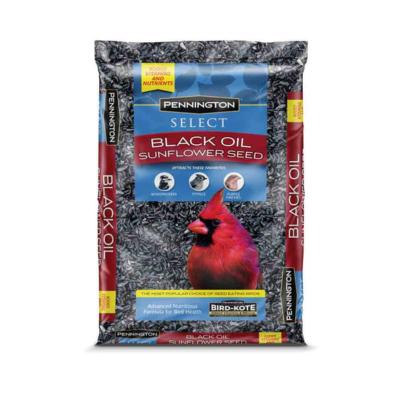 Pennington Select Black Oil Sunflower Seed 5 lbs