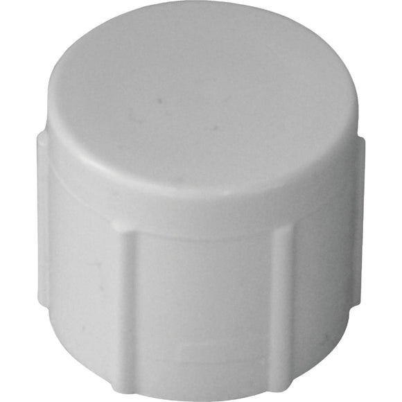 Charlotte Pipe 1-1/4 In. FIP Schedule 40 Threaded PVC Cap