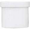 Charlotte Pipe Schedule 40 2 in. Spigot PVC Spigot Plug