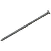 Grip-Rite 8d x 2-1/2 In. 11 ga Hot Galvanized Siding & Deck Nails (5300 Ct., 50  Lb.)