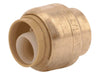 Sharkbite Brass Push Cap 1/2 in. (1/2 in.)